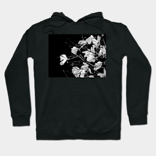 Black and White Magnolia Photography Hoodie